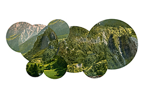 Cryptic Journey photograph