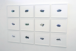 Cryptic Journey photograph