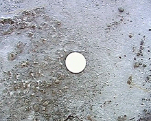 photograph detail