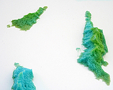 index image sculpture