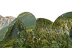 index image combined processes