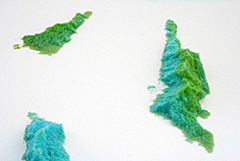 index image sculpture