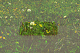index image video