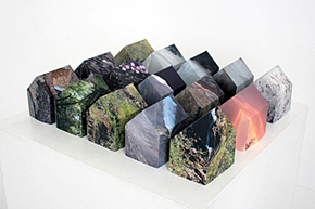 photograph