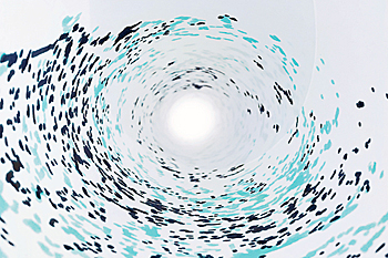 photograph scroll series